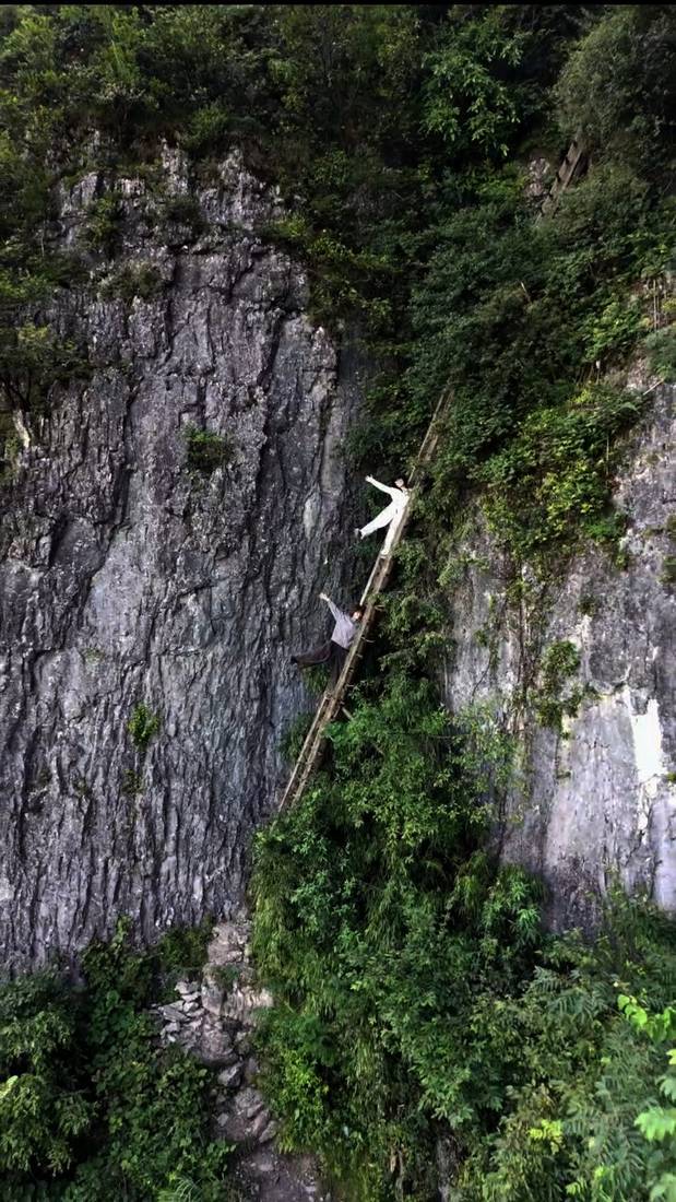 Bamboo ladder